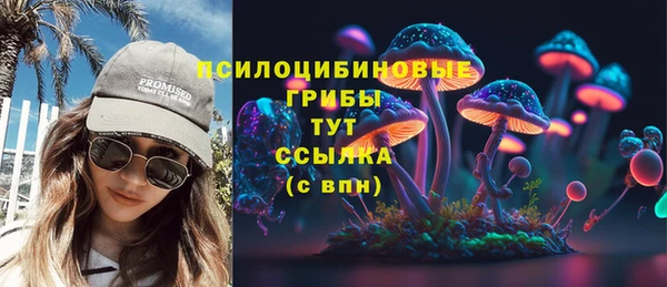кокс Каменка
