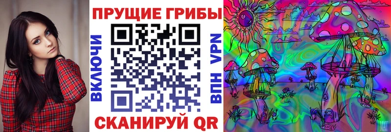 Галлюциногенные грибы Psilocybe  Купить закладки  Бежецк 